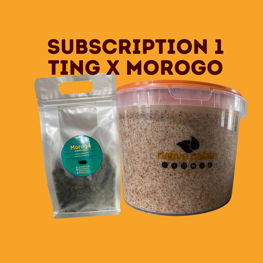 Subscription 1